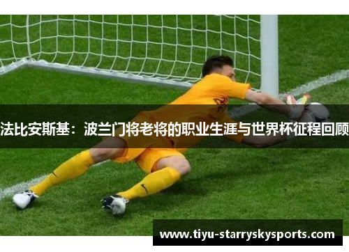 法比安斯基：波兰门将老将的职业生涯与世界杯征程回顾