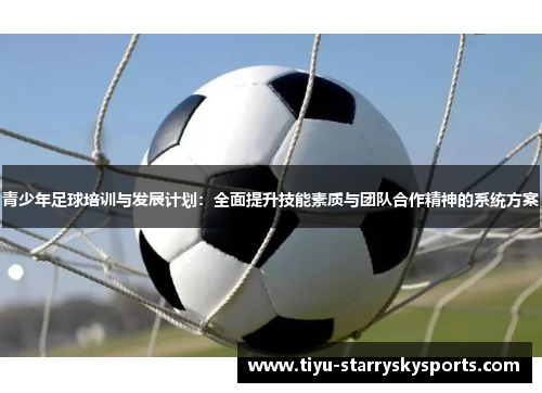 青少年足球培训与发展计划：全面提升技能素质与团队合作精神的系统方案