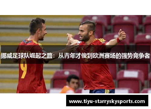 挪威足球队崛起之路：从青年才俊到欧洲赛场的强势竞争者